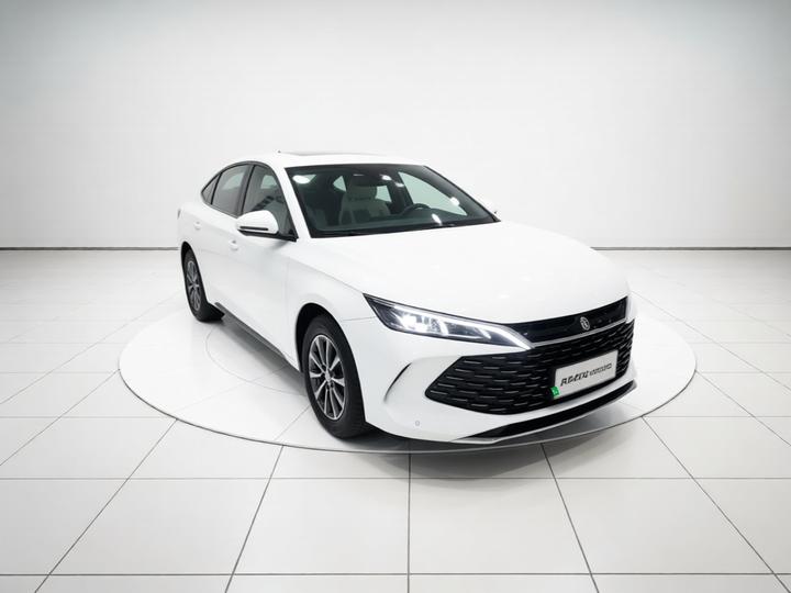 Qin L 2026 DM-i 128KM Progressive photo 3