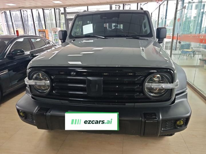 300 2021 Off-road 2.0T photo 2