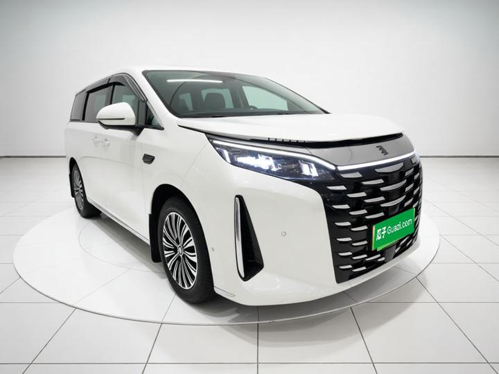 2025 DM-i 1.5T 180km Excellence photo 3