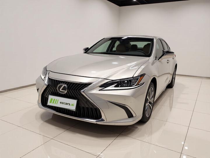 ES 2018 300h Excellence China V