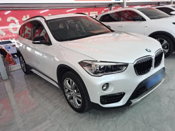 X1 2018 xDrive20Li Luxury photo 3