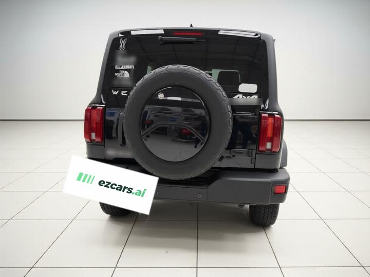 300 2021 Off-road 2.0T Conqueror photo 5