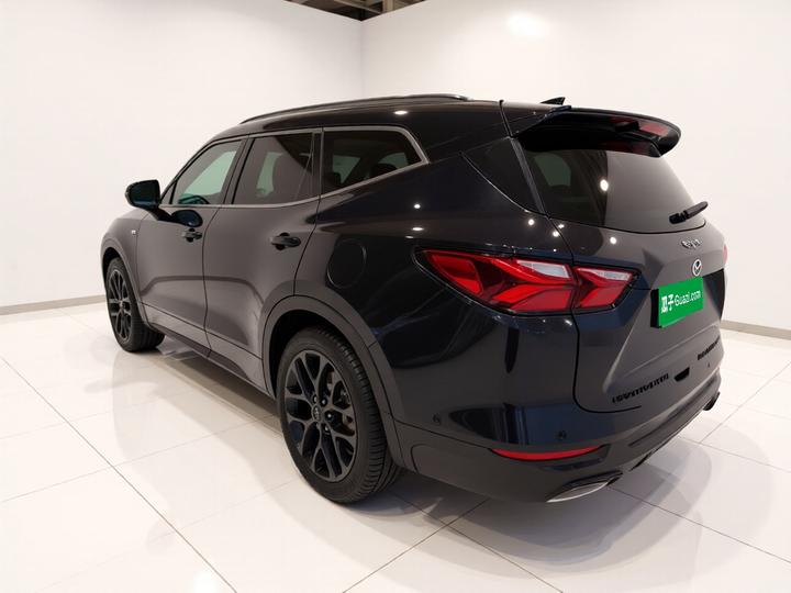 2022 Mild Hybrid 650T RS Twin-Clutch AWD 7-Seater photo 4