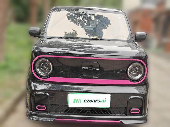 2025 210km Panda photo 2