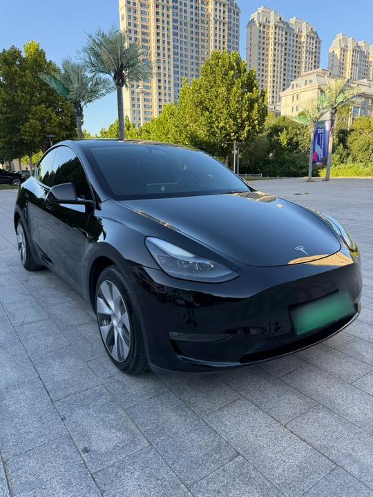 Model Y 2021 Standard Range RWD photo 2