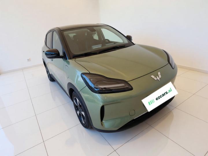 Wuling Bingo PLUS 2024 510km Flagship 4-Seater photo 3