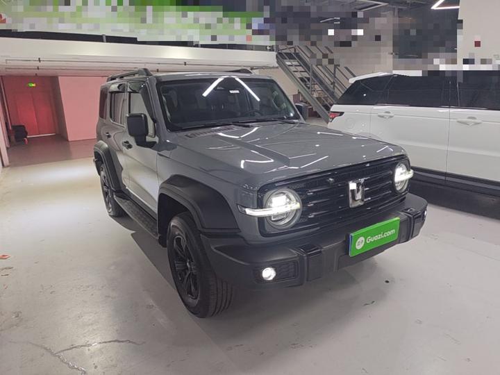300 2023 Off-road 2.0T Conqueror photo 3