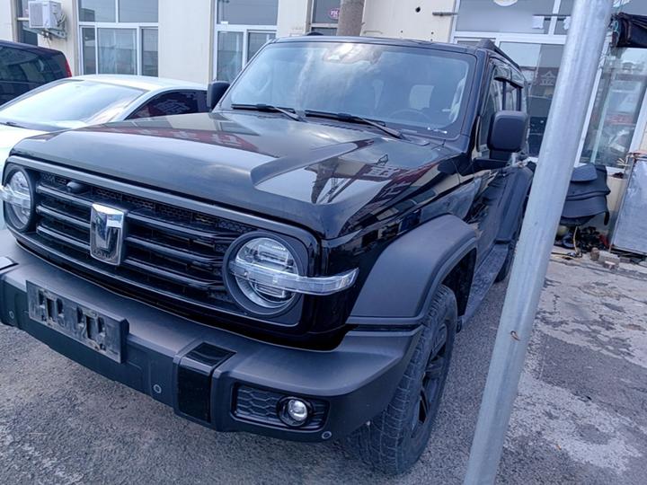 300 2021 Off-road 2.0T