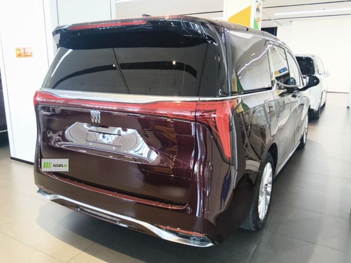 2025 2.0T 7-Seater photo 4
