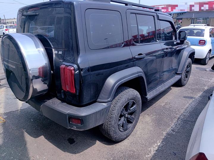 300 2021 Off-road 2.0T photo 4