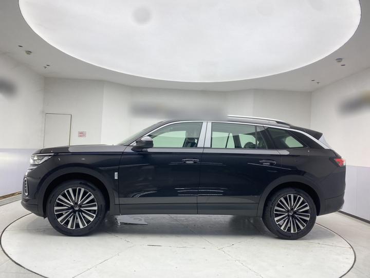 2026 330TSI Luxury photo 3