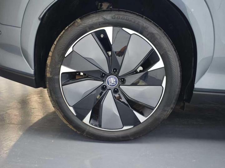 Tang L 2025 DM 175KM photo 7