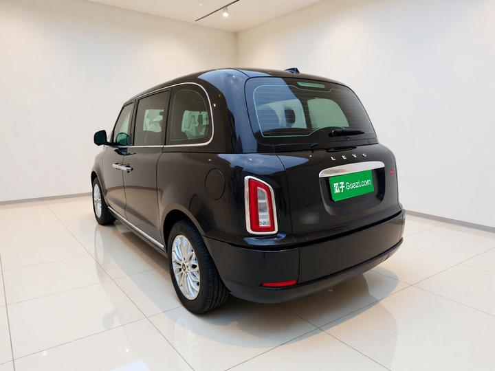 LEVC TX 2022 TX5 EV photo 4