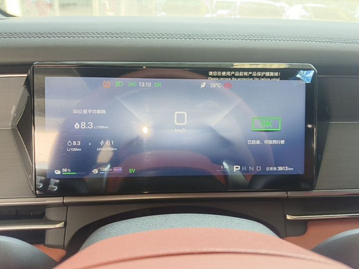 Tang L 2025 DM 175KM photo 7