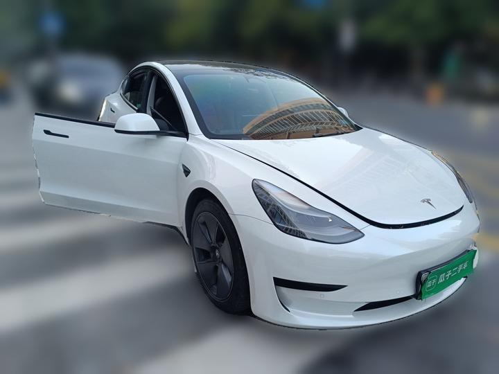 Model 3 2022 RWD photo 3