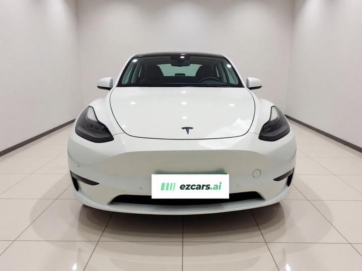 Model Y 2021 Long Range AWD 3D7 photo 2