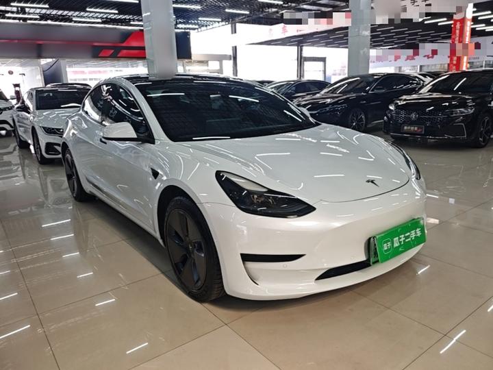 Model 3 2021 Facelift Standard Range RWD Upgraded 3D1 photo 3