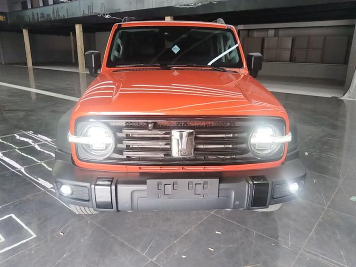300 2023 Off-road 2.0T Conqueror photo 2