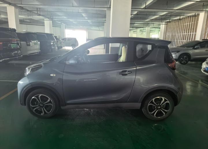 QQ Little Ant 2021 15 NCM photo 3