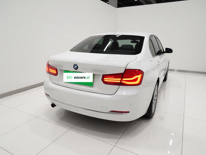 3 Series 2018 318Li photo 3