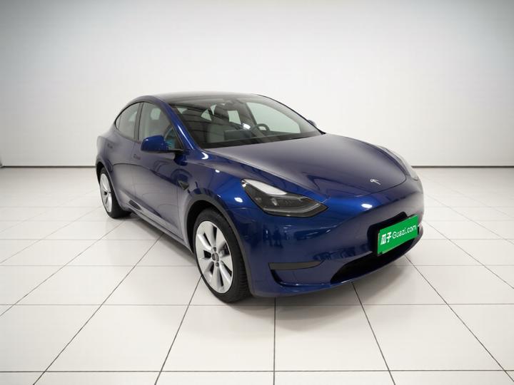 Model Y 2021 Long Range AWD photo 3