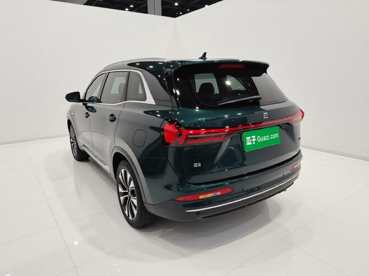 Bluelectric E5 PLUS 2026 165km Long Range Max 5-Seater photo 4