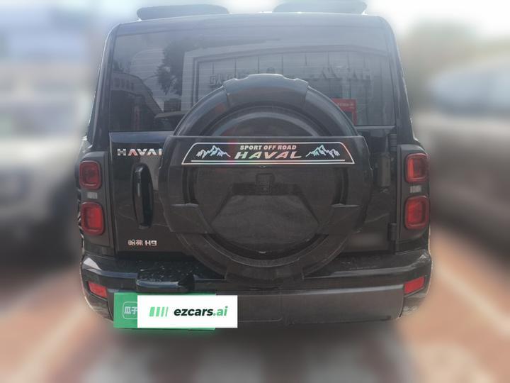 H9 2024 2.0T Petrol AWD photo 5