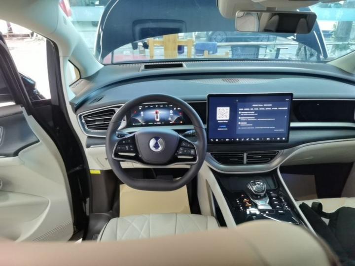 D9 2024 DM-i 980 AWD Noble photo 6