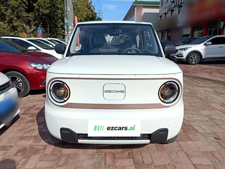 2023 Panda mini 200km Endurance Bear photo 2