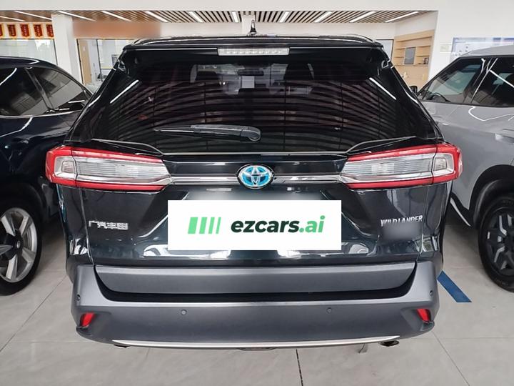 Wildlander EV 2021 Performance 2.5L RWD Power photo 3