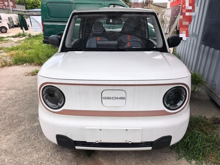 2024 Panda mini 200km Endurance Bear photo 2