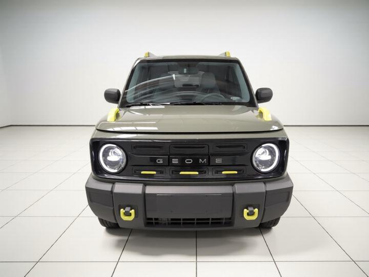 2025 210km Panda photo 2