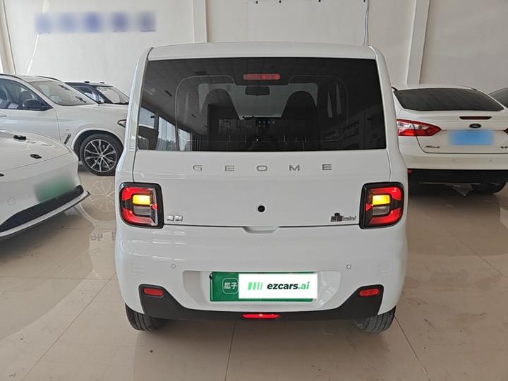 2023 Panda mini 200km Endurance Bear photo 3