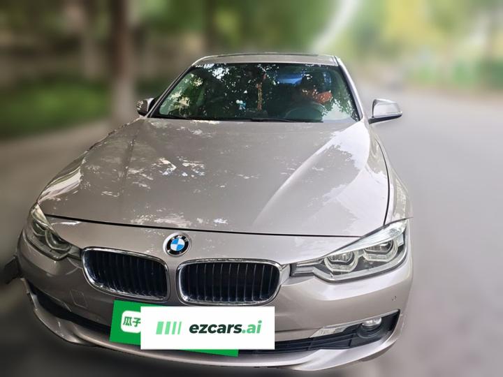 3 Series 2016 320Li Progressive photo 2