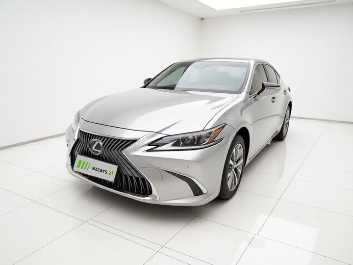 ES 2018 300h Excellence China VI