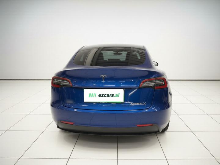 Model Y 2021 Long Range AWD photo 5