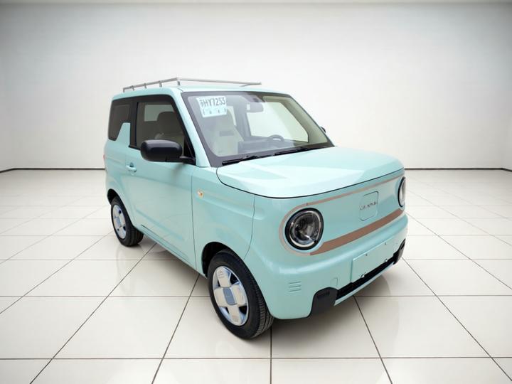 2023 Panda mini 200km Endurance Bear photo 3