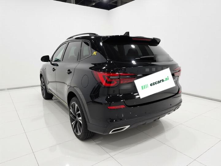 RX5 EV 2020 ePLUS Luxury photo 4
