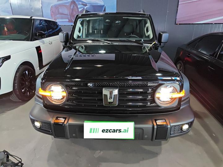 300 2024 2.0T Conqueror photo 2