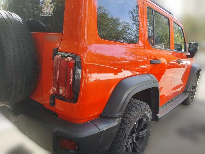 300 2021 Off-road 2.0T photo 6