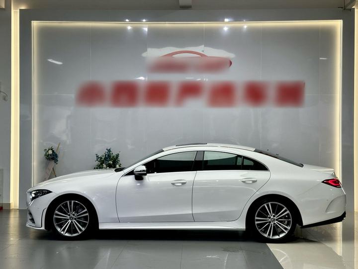 CLS 2020 CLS 300 Dynamic photo 4