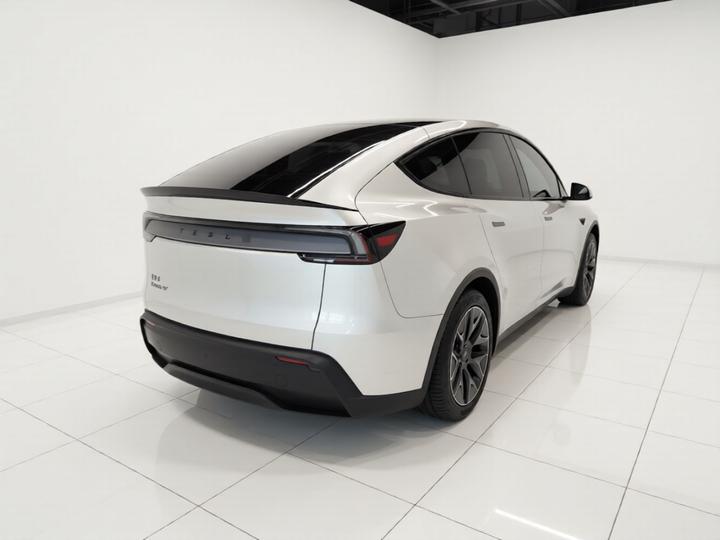 Model Y L 2025 Long Range AWD photo 4