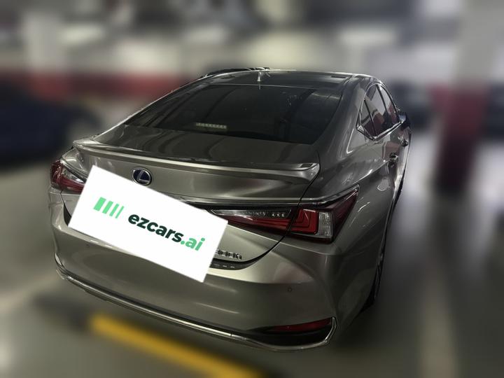 ES 2018 300h Excellence China VI photo 6
