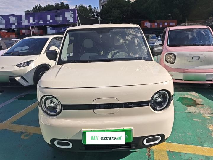 2025 Panda mini 210km Yuan photo 2