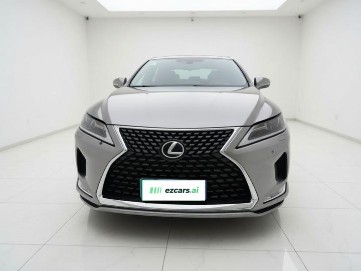 RX 2020 Facelift 300 RWD Elite photo 2