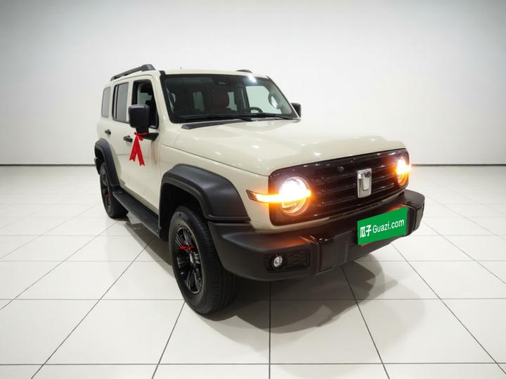 300 2025 2.0T Petrol Conqueror photo 3