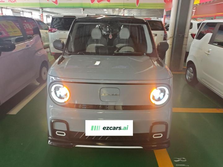 2024 200km Panda photo 2