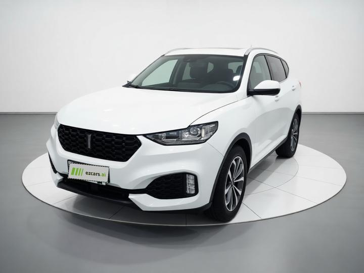 VV6 2018 2.0T AWD Flagship China V