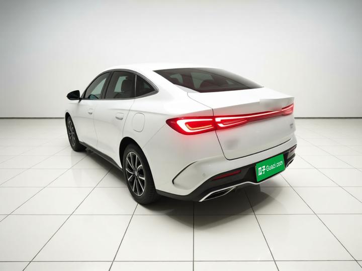 Seal 06 EV 2026 DM-i 128KM Luxury photo 4