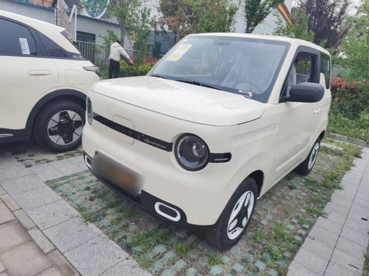 2025 Panda mini 210km Yuan
